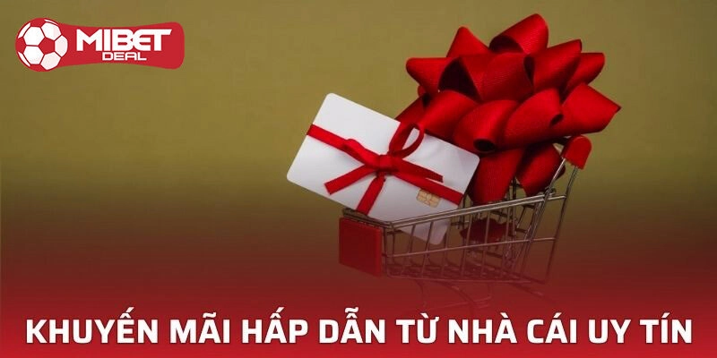 Tổng quan về khuyến mãi Mibet