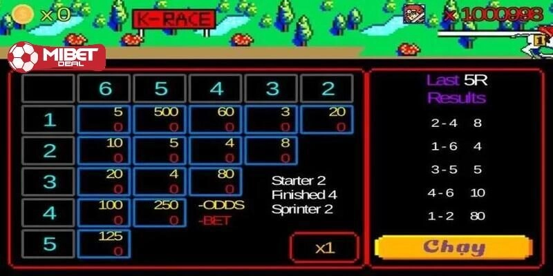 Giới thiệu về đua ngựa xèng