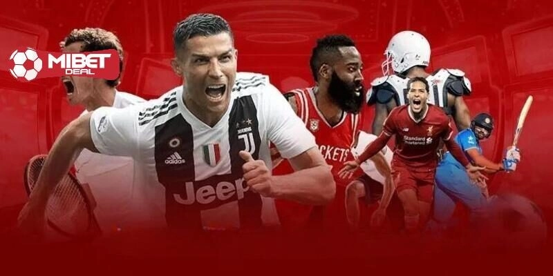 Giới thiệu đôi nét về K Sports