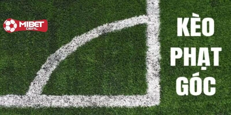 Kinh nghiệm cược kèo phạt góc hiệu quả cho tân binh