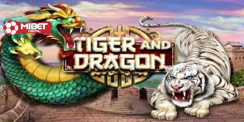 Quy luật chơi Rồng Hổ Mibet đầy đủ từ A - Z