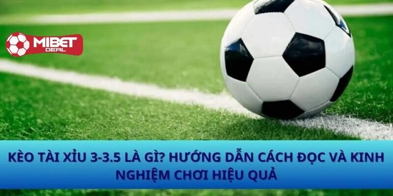 Tìm hiểu cơ bản về kèo tài xỉu 3-3 5