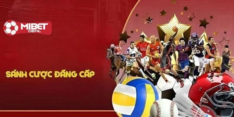 Giới thiệu đôi nét về sảnh V sports