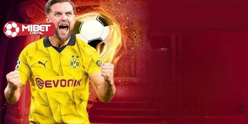 Lý do nên tham gia cá cược tại V sports