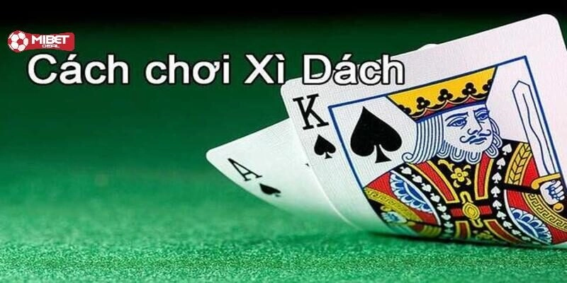 Các thuật ngữ quan trọng