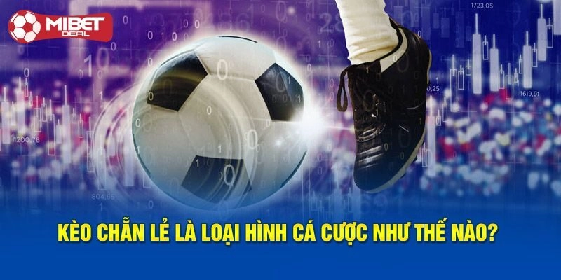 Bật mí những đặc trưng về kèo chẵn lẻ