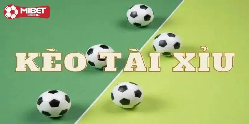 Lựa chọn các giải đấu lớn