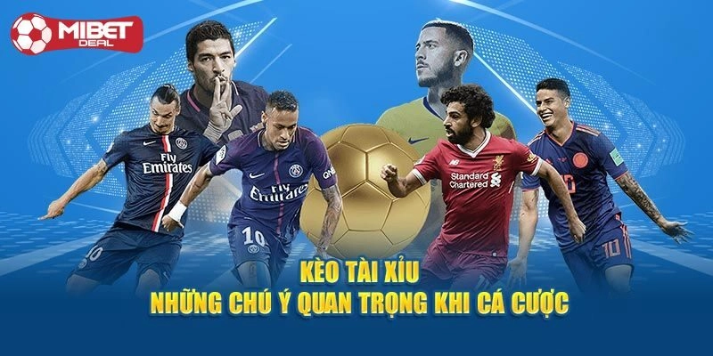 Hướng dẫn chơi kèo tài xỉu tại Mibet