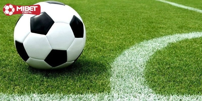 Thế nào là kèo hòa? Giải đáp những điều tân binh chưa biết