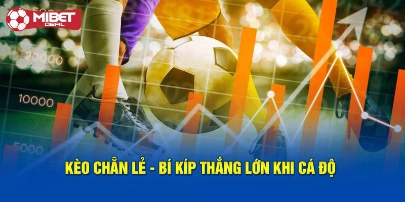 Kinh nghiệm chơi kèo chẵn lẻ “cược đâu, thắng đó”