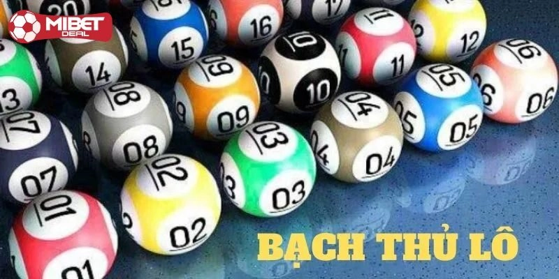 Bạch Thủ Lô Là Gì? Chia Sẻ Mẹo Cực Hữu Ích Từ Cao Thủ