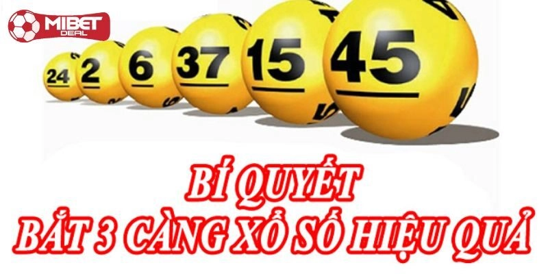 Chia sẻ các phương pháp soi dàn đề 3 càng hiệu quả