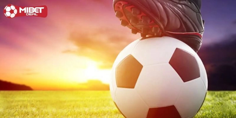 Kinh nghiệm cá cược kèo 1x2 châu á thắng lớn cho tân binh