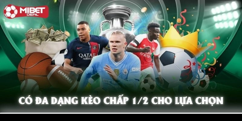 Kèo Chấp ½ Là Sao - Hướng Dẫn Cách Chơi Chuẩn Cho Tân Binh